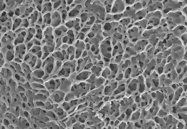 SEM image of StemGel 1
